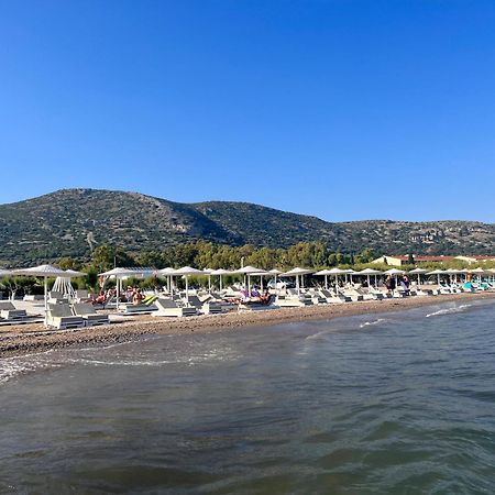 Holiday Oasis With Private Patio And Hammam-Style Bath In Chora-Pithagoreo, Samos Island Βίλα Πυθαγόρειο Εξωτερικό φωτογραφία